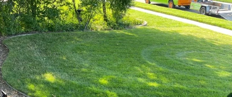 Professional lawn care service
